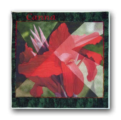 I tried a new technique using Photoshop to manipulate the photo and then printed it on fabric. The inspiration photo was taken by Craig Cramer and was used with his permission. You can check out his blog at www.remarc.com/craig/. 